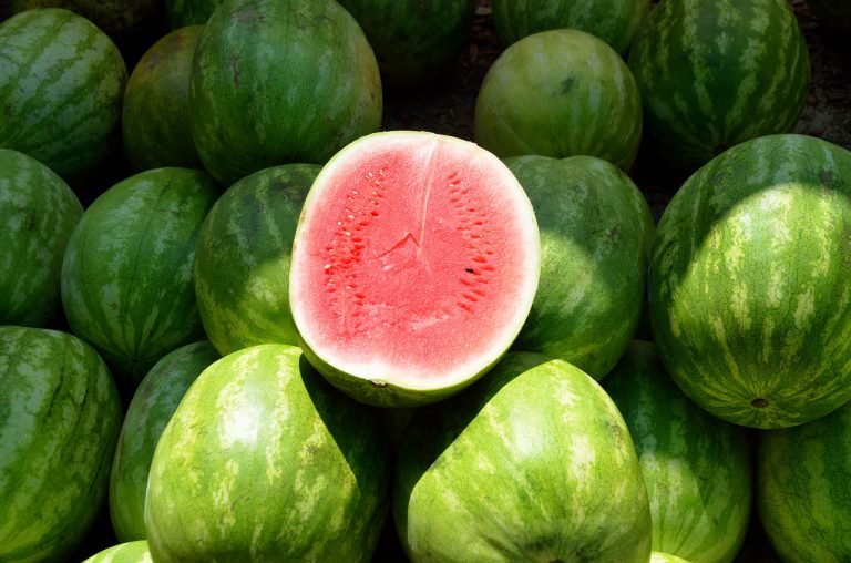 Izaberite savršenu lubenicu u 4 koraka