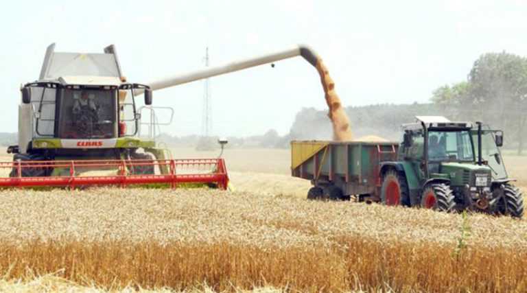 Privodi se kraju žetva pšenice na području Brčkog: Ratari ne znaju za otkupnu cenu