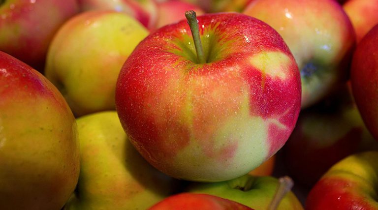 Брчко у центру скандала: Од данас забрана извоза јабука у Русију