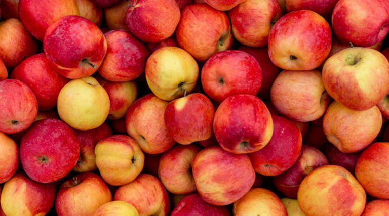 Брчко: Покренут поступак поводом скандала око извоза јабука