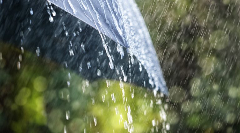 Прогноза за март: Киша, киша, киша…