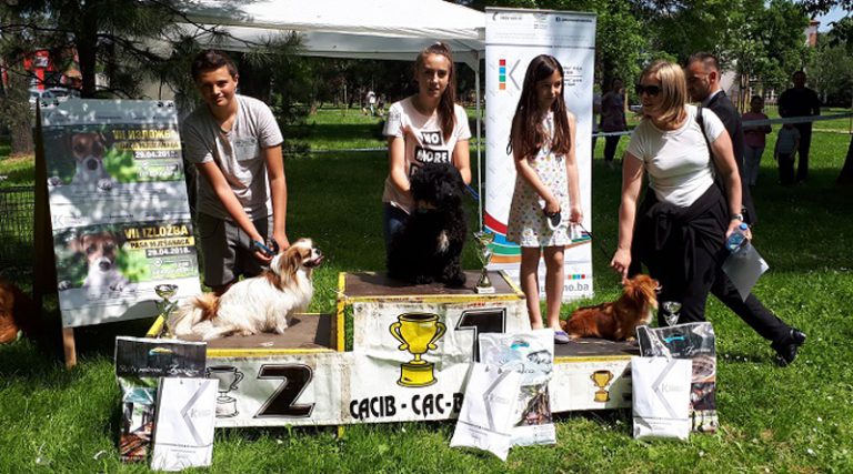 Брчко: Одржана Седма изложба паса мјешанаца