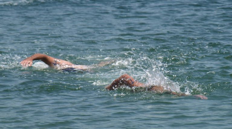 У суботу Међународни пливачки маратон на Сави