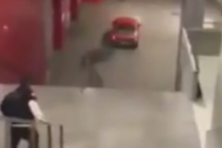 Идентификован возач који је возио степеницама у Бањалуци: Нема возачку, био пијан
