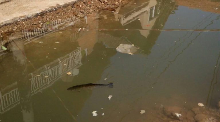 Сарајево: Грађани претворили рупу на цести у рибњак