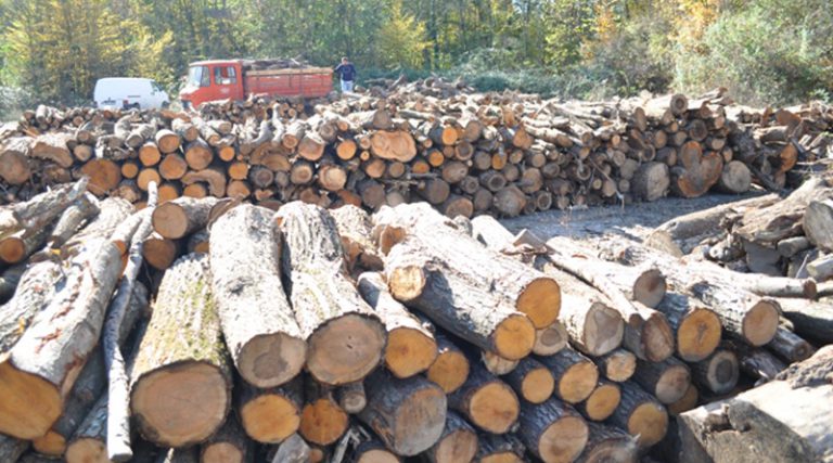Brčko: U toku isporuka ogrevnog drveta za socijalno ugrožene porodice