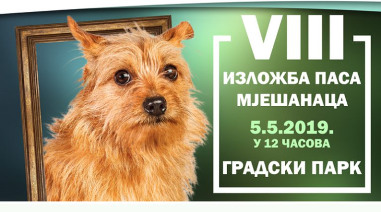 Брчко: Изложба паса мјешанаца 5. маја