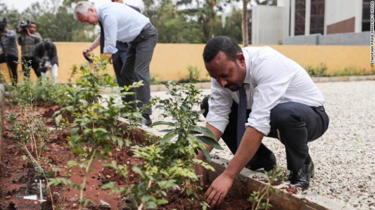 Етиопија посадила више од 350 милиона стабала за 12 сати