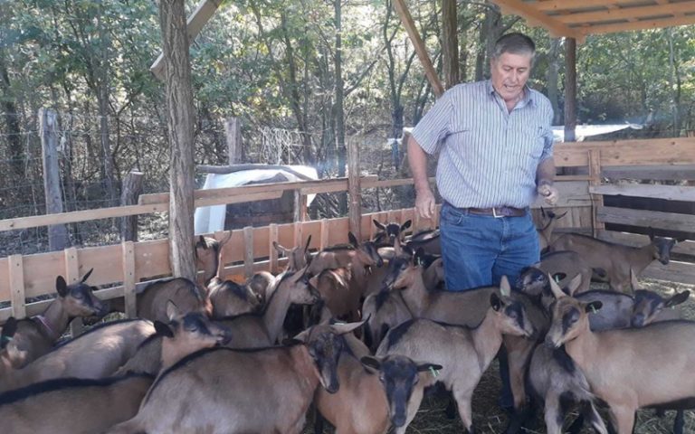 Капитал стечен у Африци улажу у завичај: Пријатељи граде фарму коза на Мајевици
