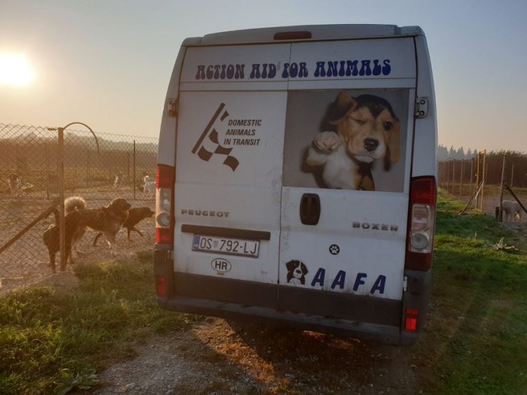 40 паса из брчанског Азила у овој години пронашли дом у Аустрији