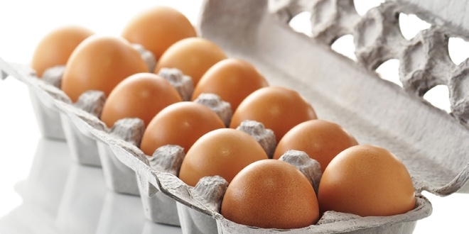 Доњи Жабар: Извезене прве количине јаја на тржиште ЕУ