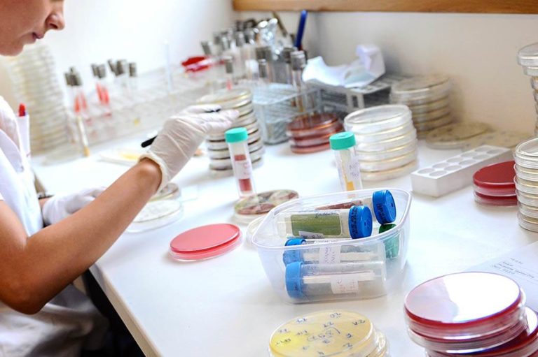Њемачка признаје PCR тестове из БиХ