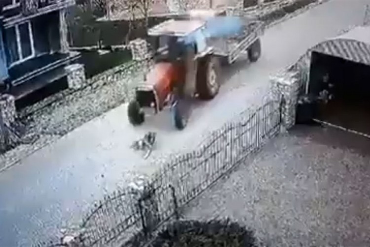 Трактор прегазио пса, узнемирујући снимак се шири друштвеним мрежама