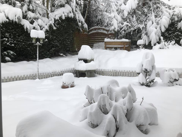 Брчаци у Швајцарској завејани снијегом
