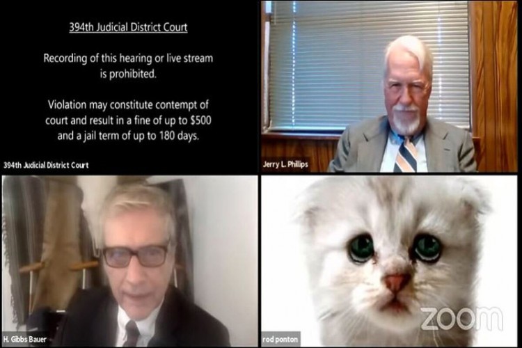 Када остане укључен филтер на Зуму: Амерички адвокат се појавио као мачка