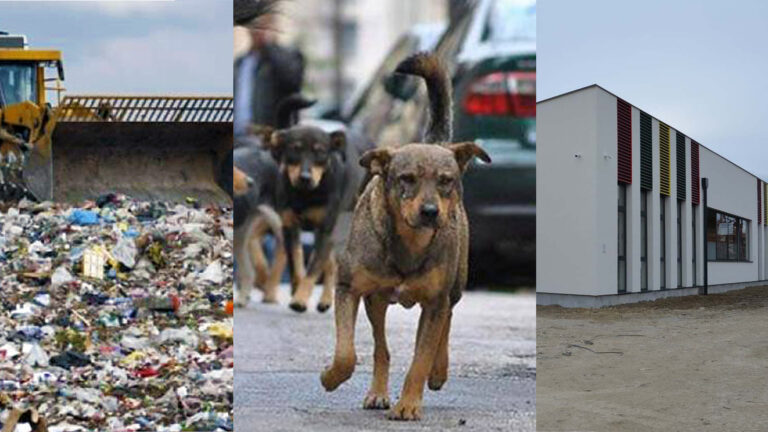 MZ Ilićka traži odgovore: Bez rješenja za deponiju, obdanište na čekanju, psi lutalice sve veći problem