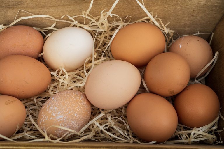 Мистерија у Аустрији: Ко је бацио 7.000 јаја у јарак