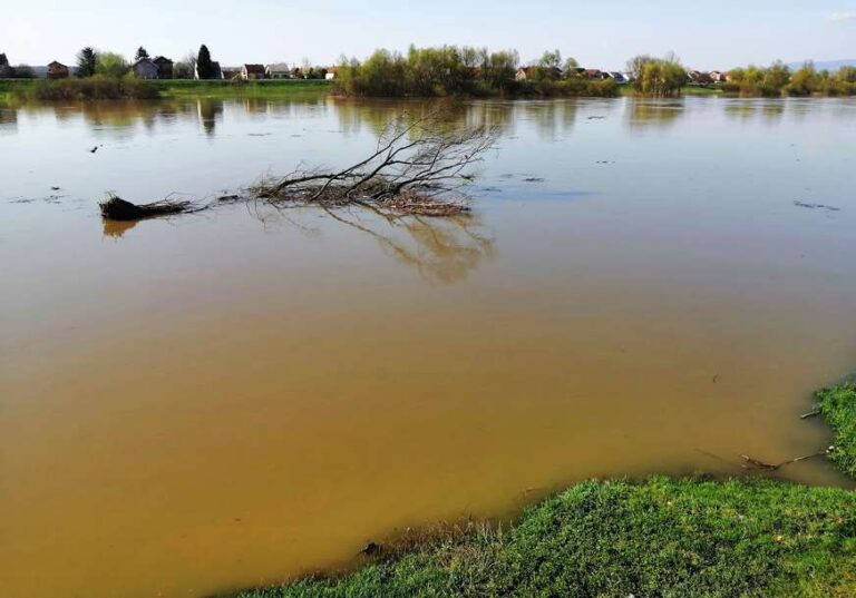 Нагли пораст водостаја Саве код Градишке: Ријека све ближе обали, мјештани страхују