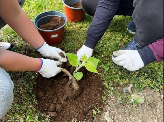 Pozitivna priča iz Brčkog: Osnovci posadili 30 sadnica u dvorištu škole