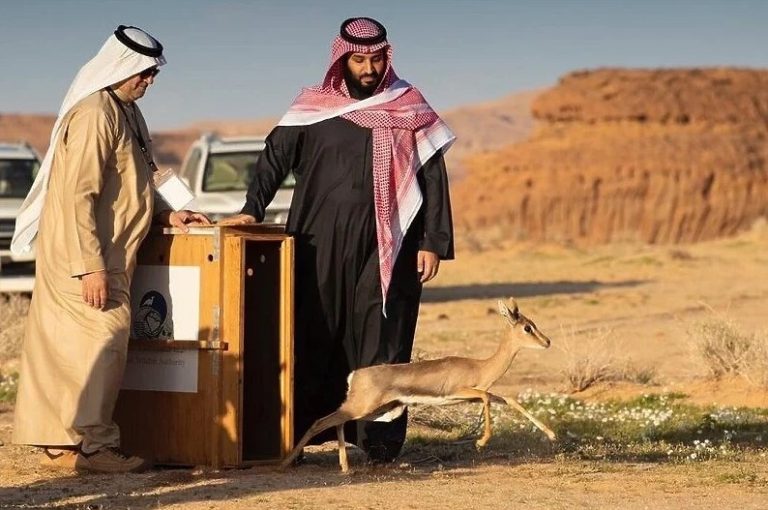Саудијска Арабија добила организацију зимских игара усред пустиње