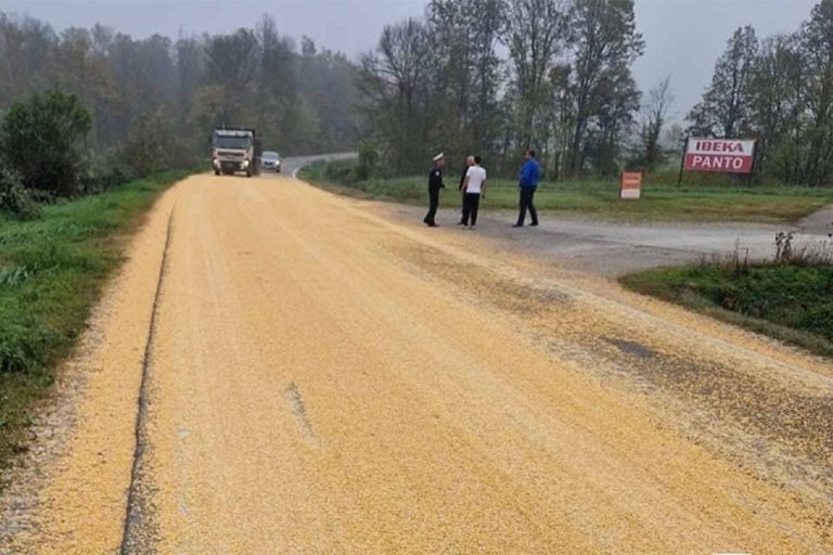 Камион “посијао” кукуруз по путу Брчко-Бијељина