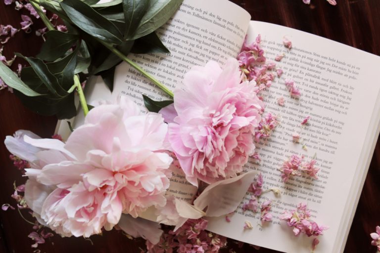 Шамац: У петак трећи по реду “Сајам књига и цвијећа”