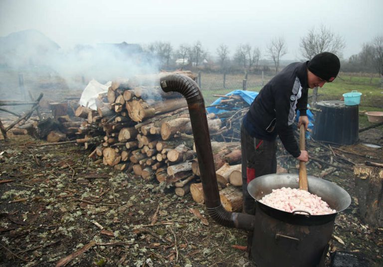 Mnogi će ostati bez zimine: Afrička kuga smanjila ponudu tovnih svinja, uzgajivači jedva dočekali da najave više cijene