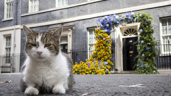 Mačak Lari dočekao svog šestog premijera