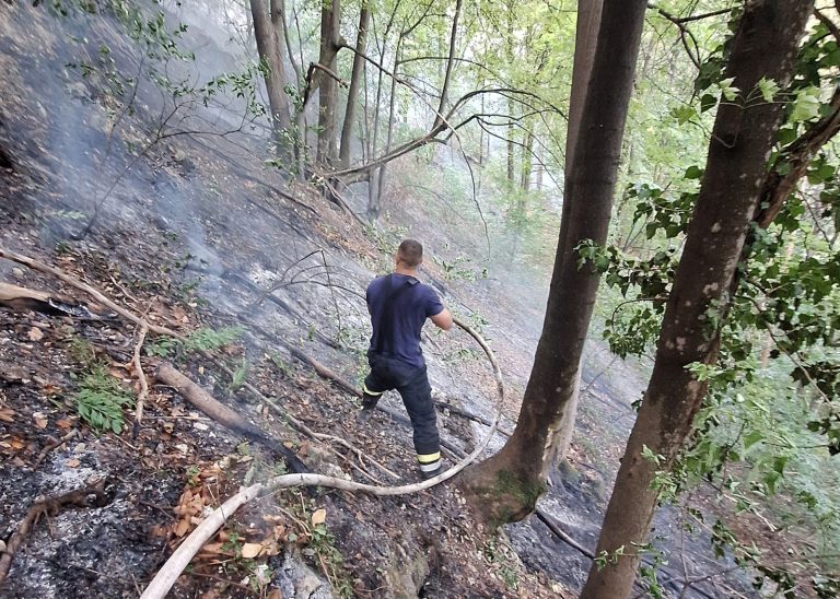 Vlada na vanrednoj sjednici o požaru u Maoči: Tri područna vatrogasna doma što prije staviti u funkciju