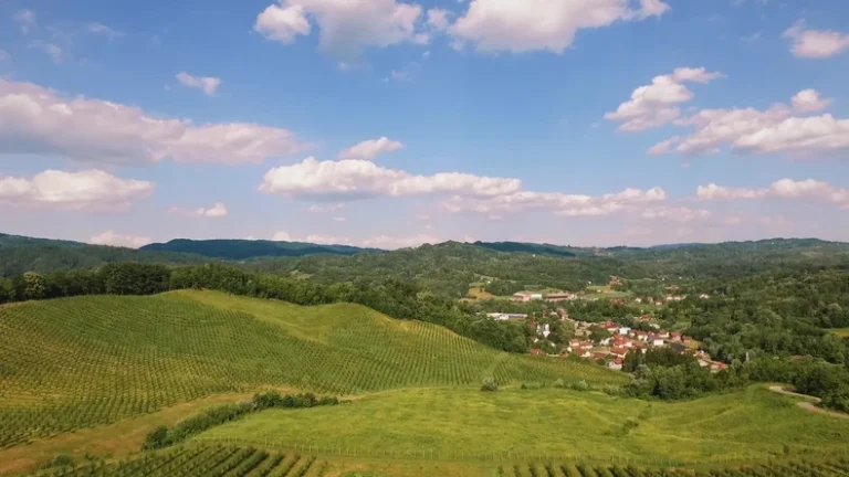 Majevica protiv litijuma: Pola miliona ljudi zabrinuto za proizvodnju brendirane rakije, sira i meda i za opstanak na planini