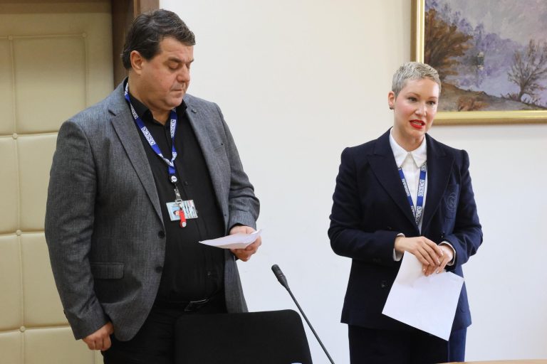 Vijeće nacionalnih manjina i OEBS: Jačanje saradnje povodom Dana ljudskih prava