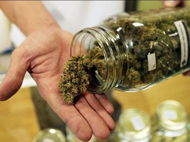 Kako BiH ide ka legalizaciji kanabisa
