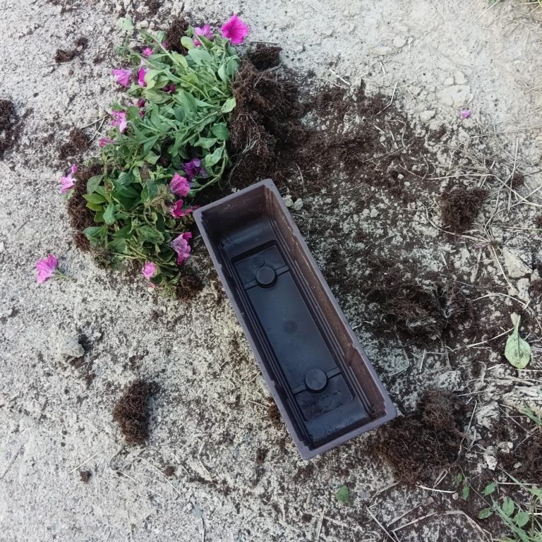 Brčko: Vandali uništili cvjetne saksije na mostovima