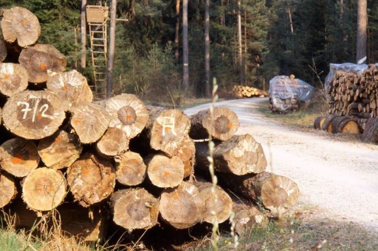 Bh. kompanije pred novim izazovom: EU uvodi stroža pravila za izvoz