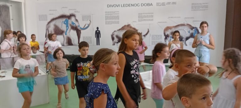 „Brčansko ljeto – Savski cvijet“: U Muzeju Brčko distrikta održan edukativni kviz za djecu