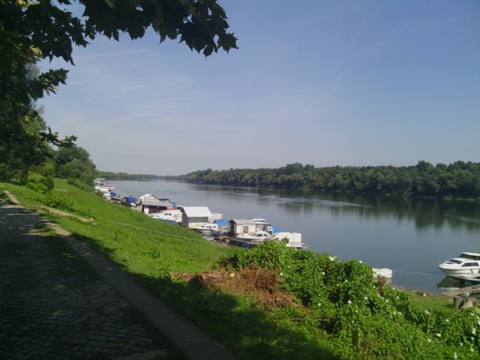Brčko: Počela ,,Savska regata 2026”