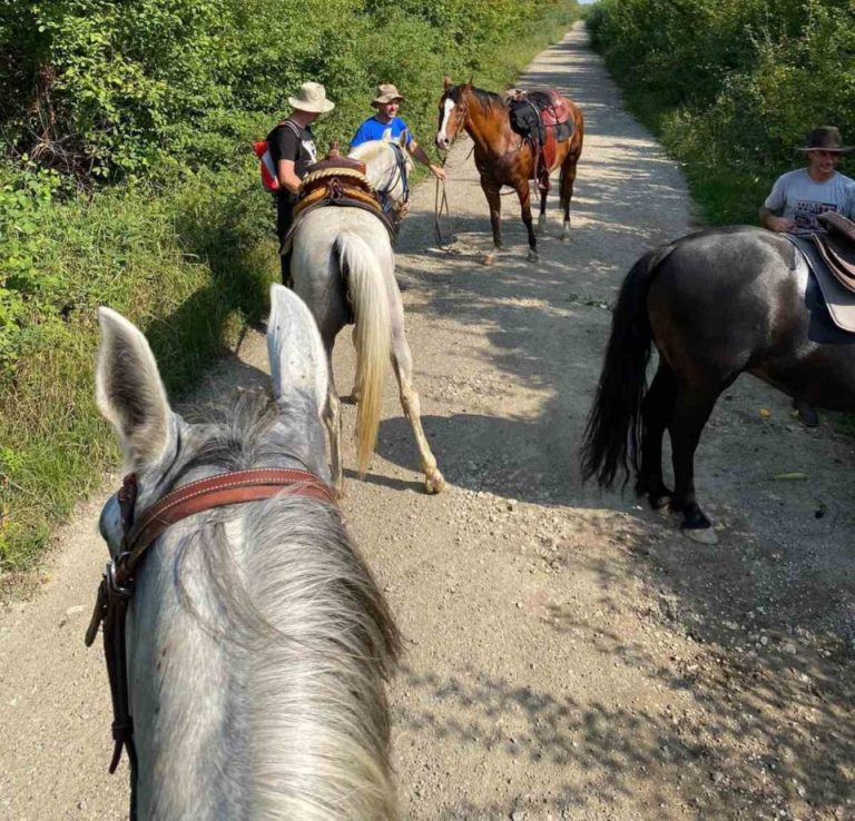 Konjički turizam u Distriktu u ekspanziji: Jahačke ture privlače goste od Europe do Kine i Novog Zelanda