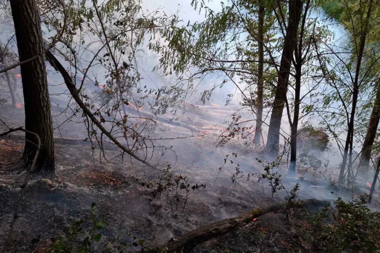 Požar danima kod Banjaluke: Kuće odbranjene, prijeti vjetar, oprez zbog dima