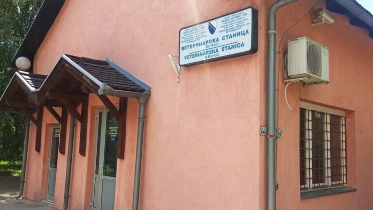 U Brčko distriktu započeo monitoring bruceloze kod krava